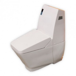 Stand-Dusch-WC mit intergriertem Wasserbeh�lter und Bidet